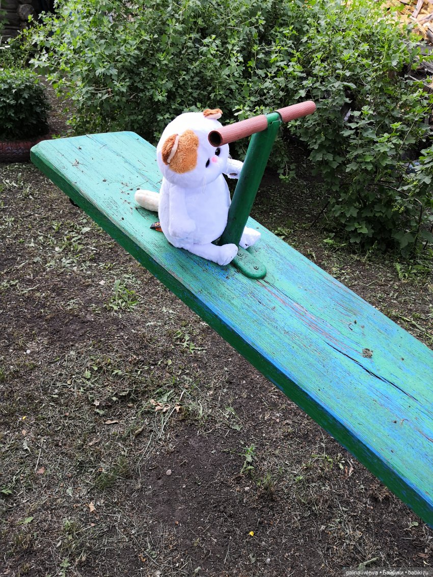 Лето и котики — Кот Басик