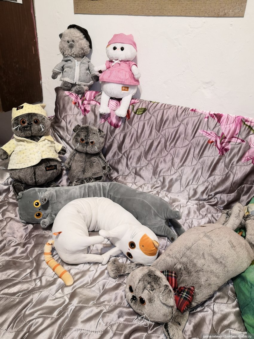 Басиков много не бывает — Кот Басик (фото 7)