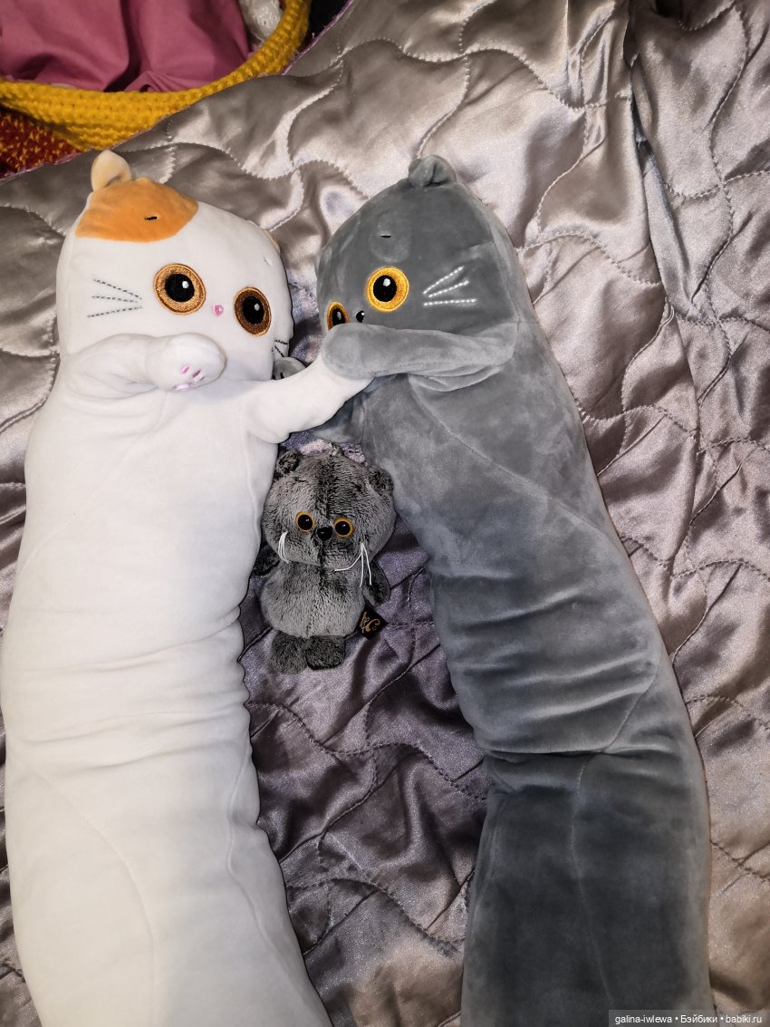 Басиков много не бывает — Кот Басик (фото 4)