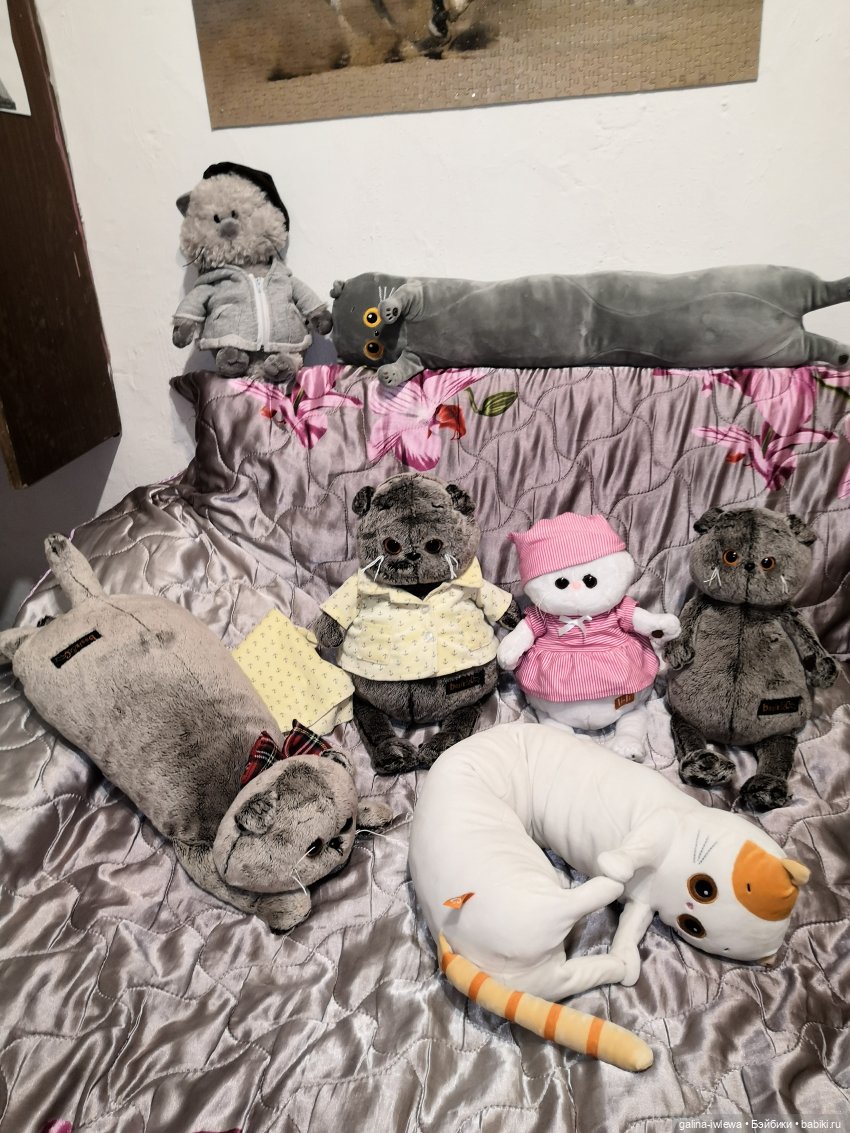 Басиков много не бывает — Кот Басик