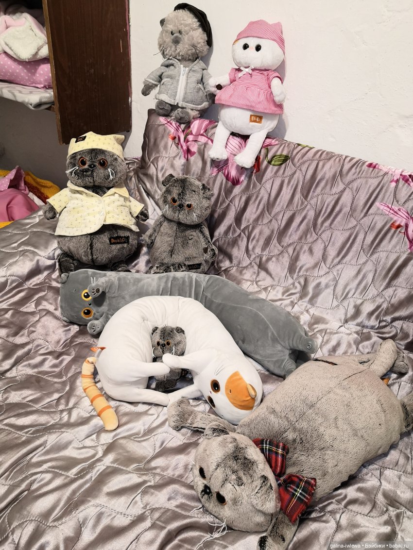 Басиков много не бывает — Кот Басик (фото 2)