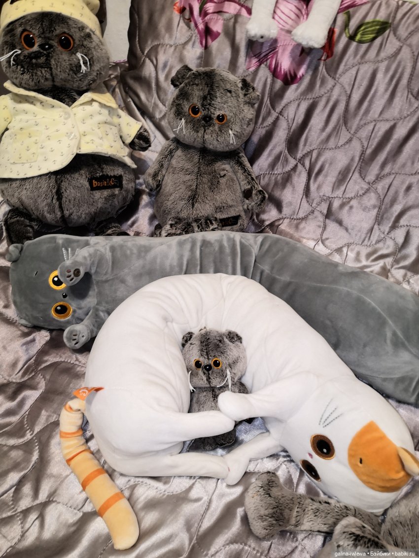 Басиков много не бывает — Кот Басик (фото 9)