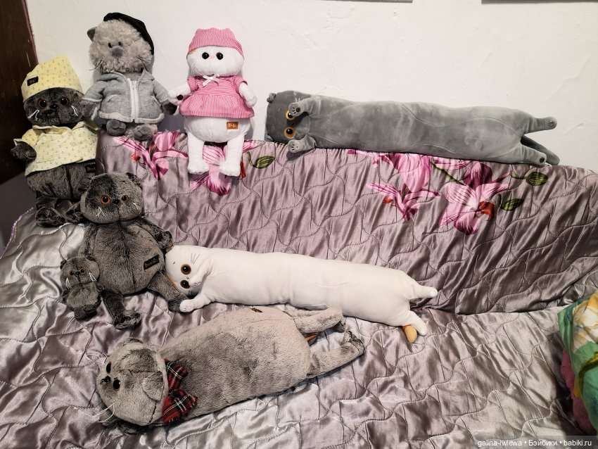 Басиков много не бывает — Кот Басик