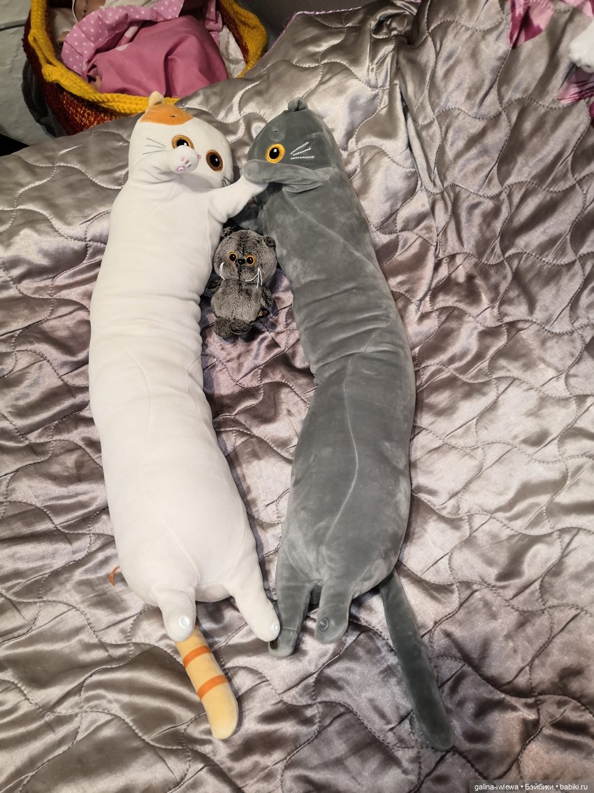 Басиков много не бывает — Кот Басик (фото 3)