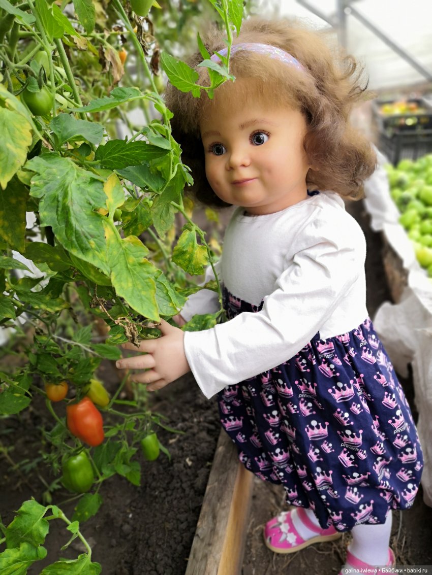 Сестренки Бони и другие малышки. Август