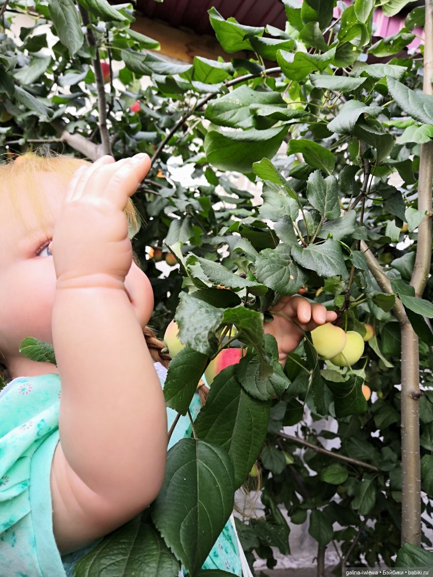 Сестренки Бони и другие малышки. Август