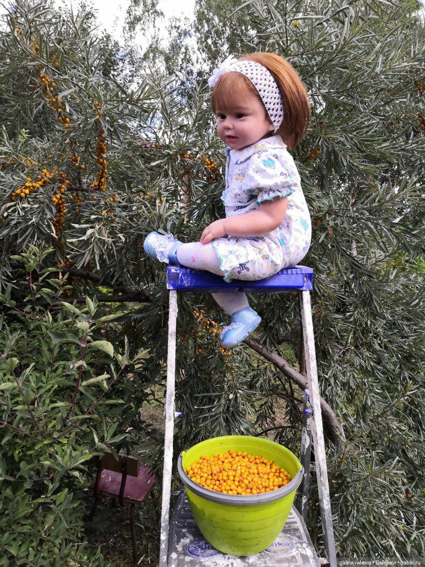 Сестренки Бони и другие малышки. Август