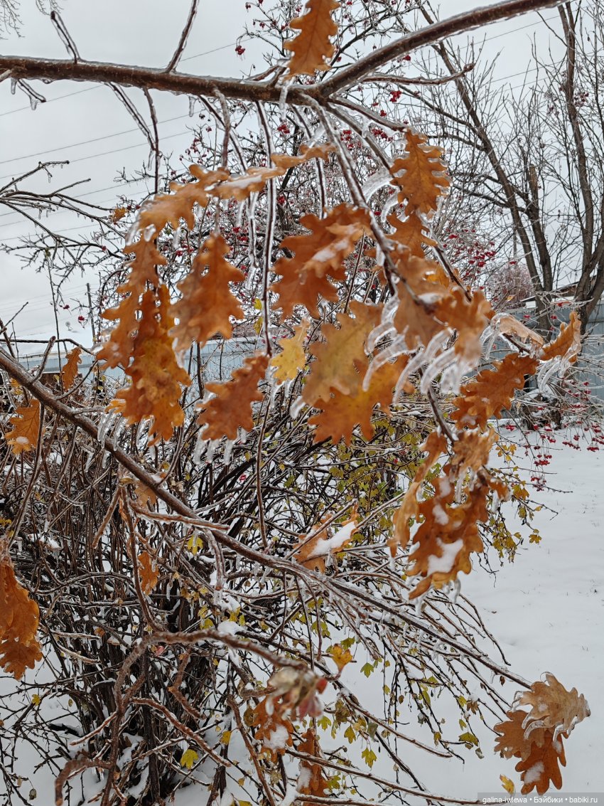 Сюрпризы октября — Красивая природа и цветы: фото пейзажей (фото 9)