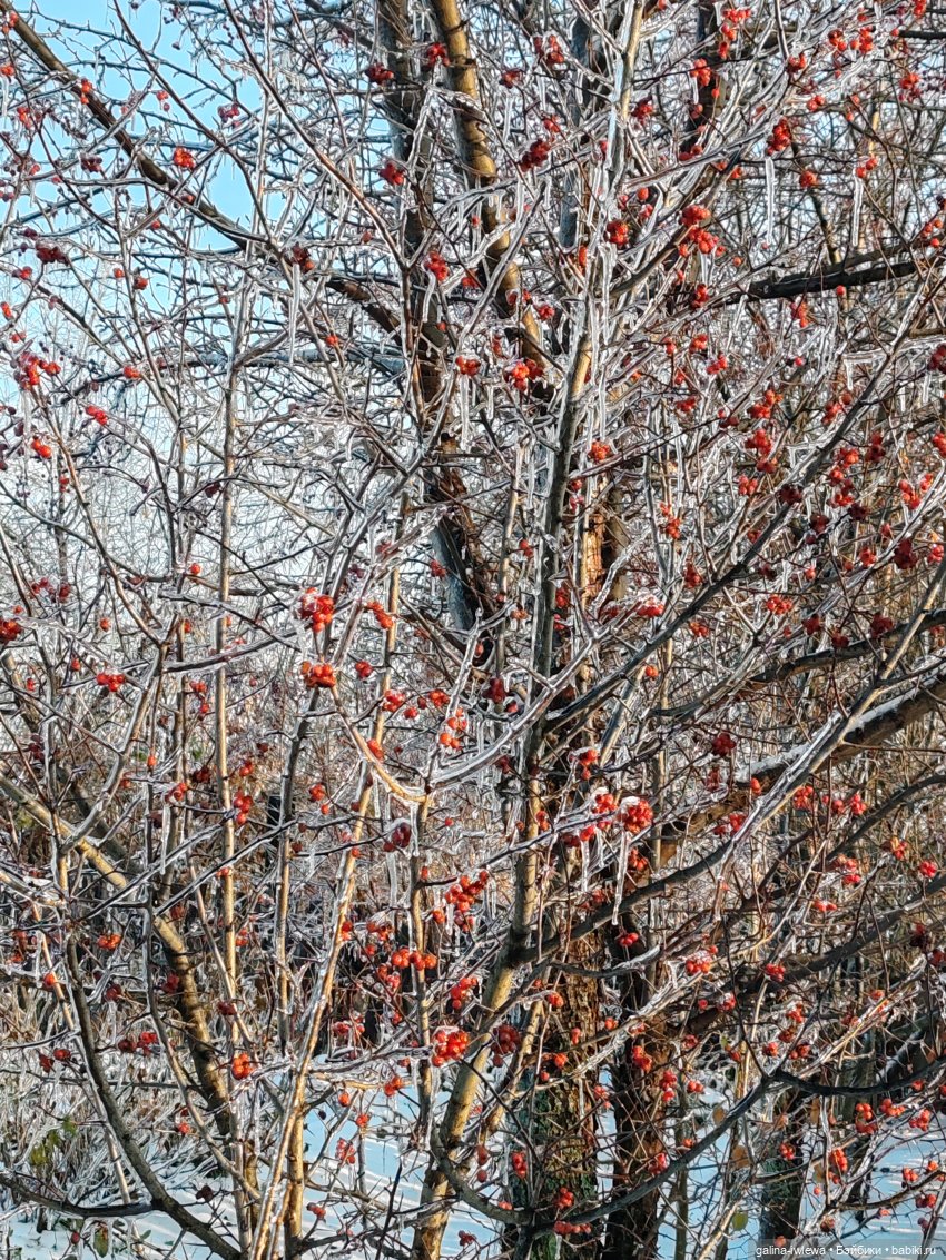 Сюрпризы октября — Красивая природа и цветы: фото пейзажей