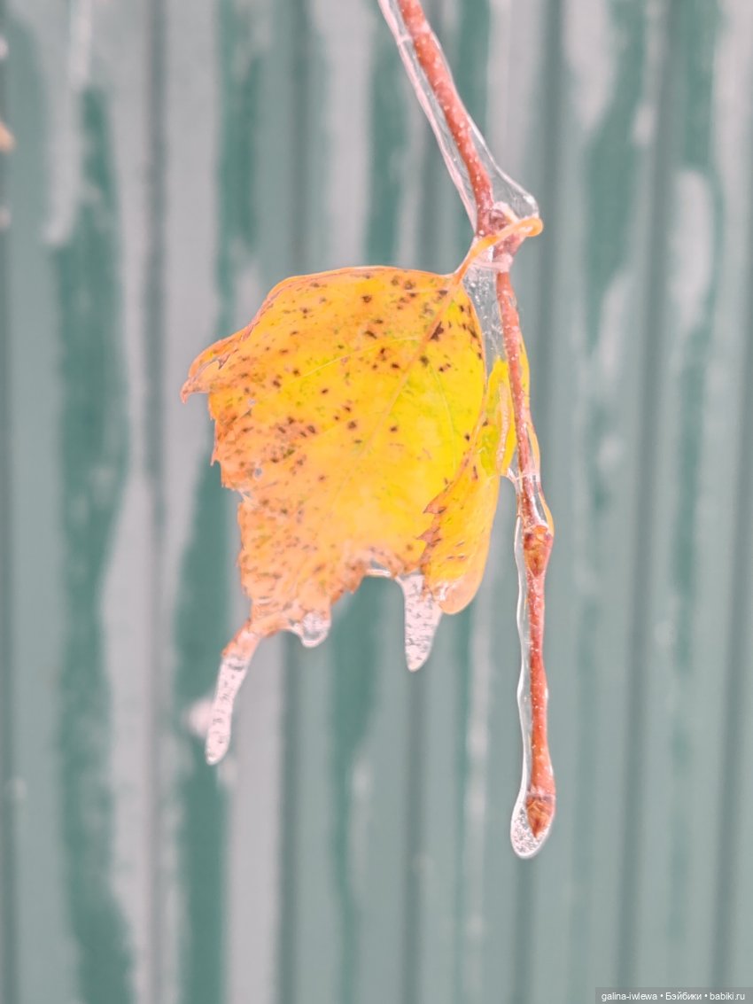 Сюрпризы октября — Красивая природа и цветы: фото пейзажей (фото 4)