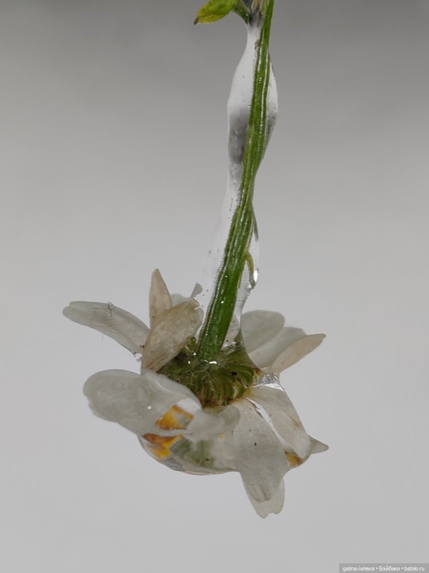 Сюрпризы октября — Красивая природа и цветы: фото пейзажей