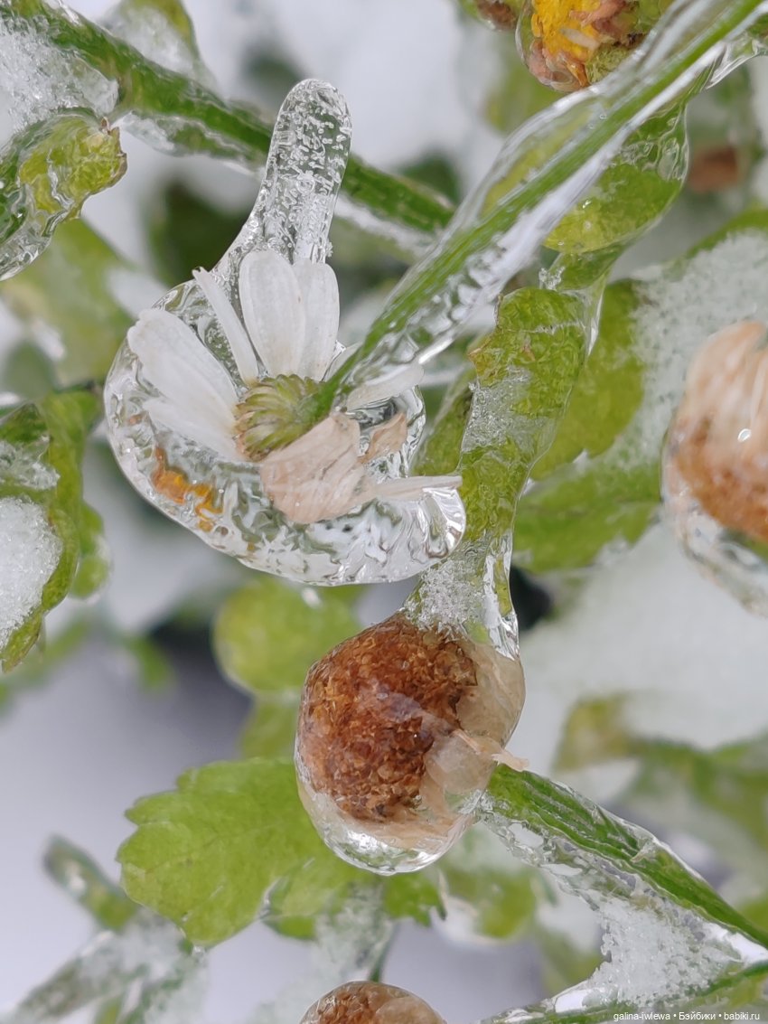 Сюрпризы октября — Красивая природа и цветы: фото пейзажей