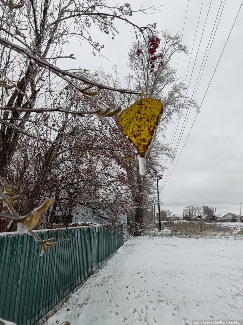 Сюрпризы октября — Красивая природа и цветы: фото пейзажей (фото 2)