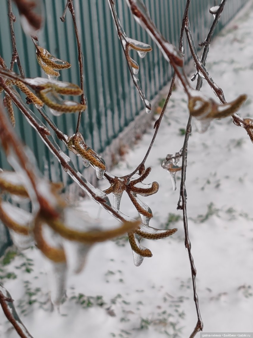 Сюрпризы октября — Красивая природа и цветы: фото пейзажей