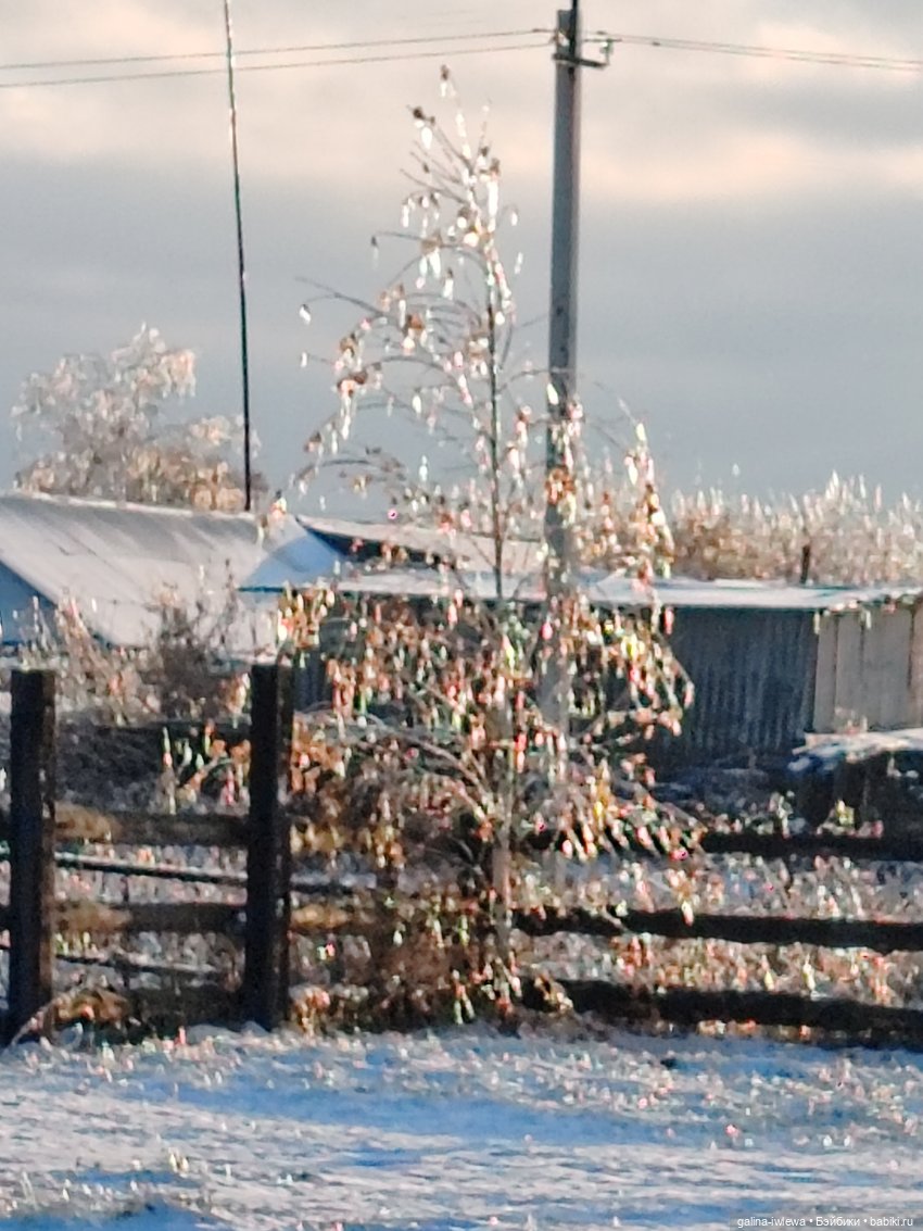 Сюрпризы октября — Красивая природа и цветы: фото пейзажей