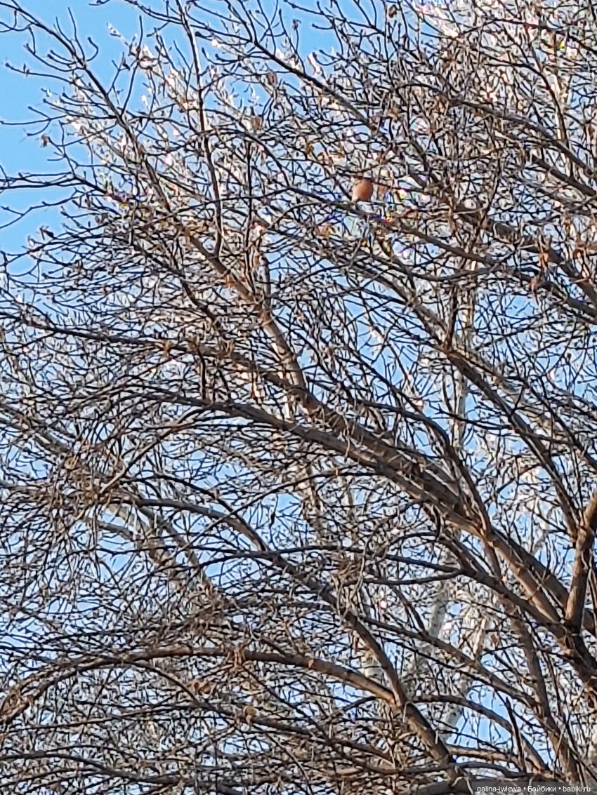 Сюрпризы октября — Красивая природа и цветы: фото пейзажей