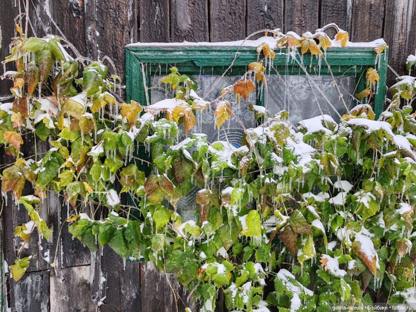 Сюрпризы октября — Красивая природа и цветы: фото пейзажей (фото 8)