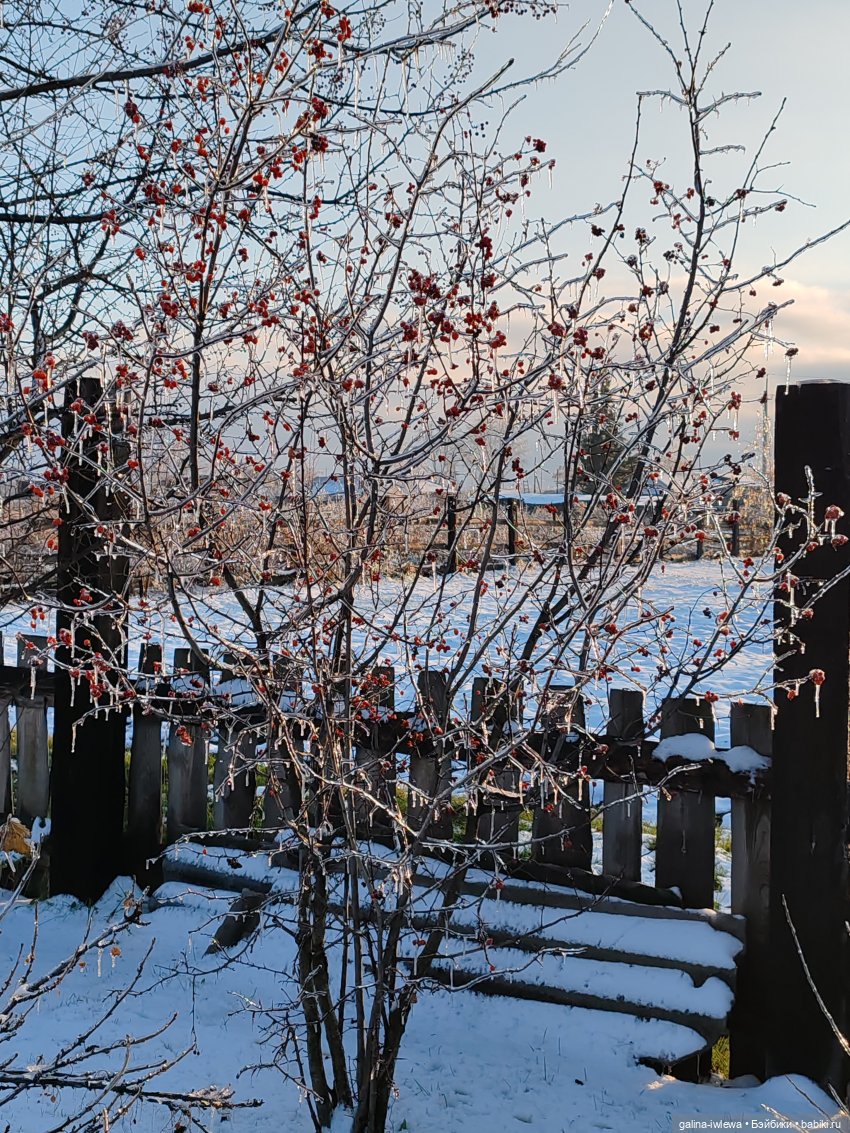 Сюрпризы октября — Красивая природа и цветы: фото пейзажей