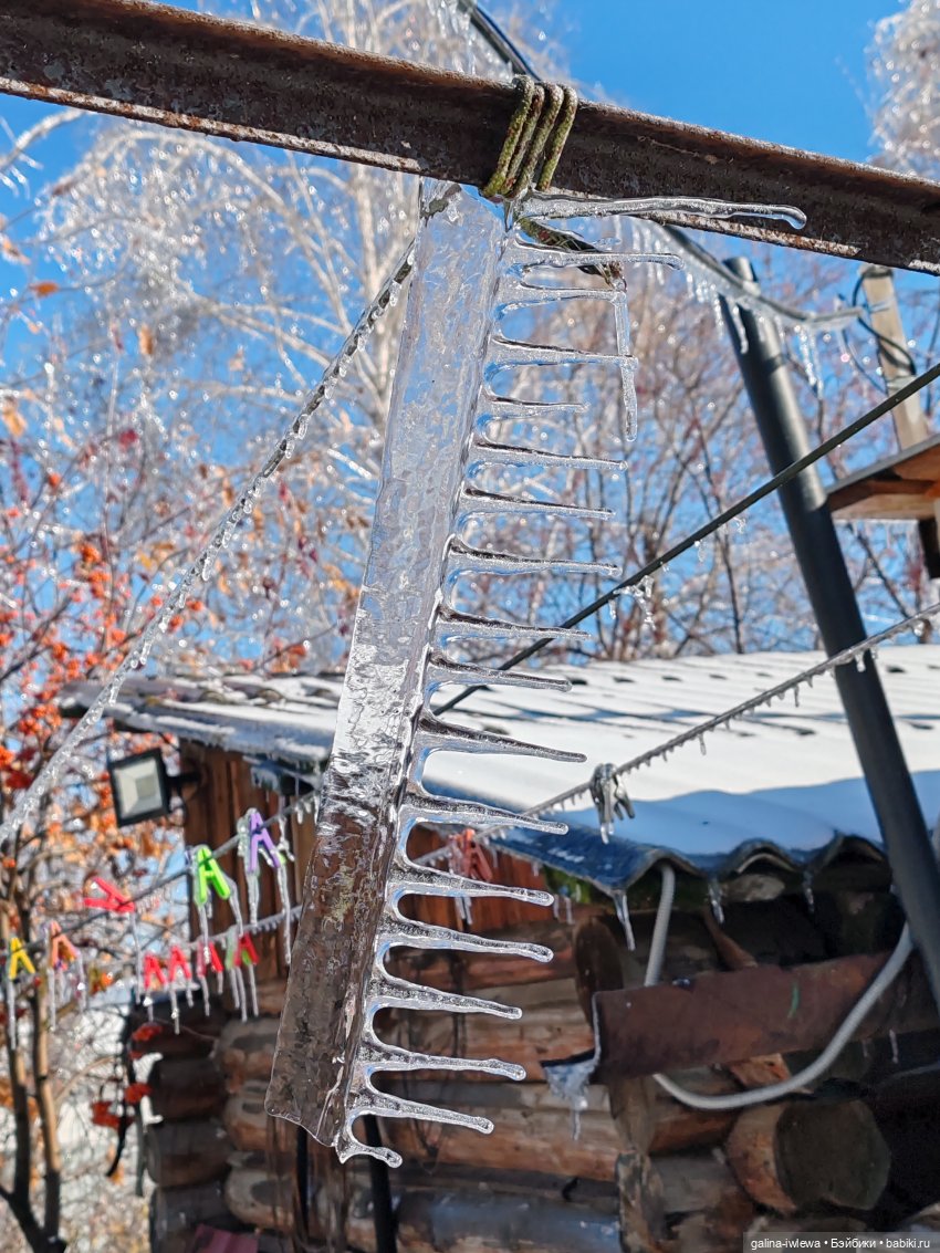 Сюрпризы октября — Красивая природа и цветы: фото пейзажей