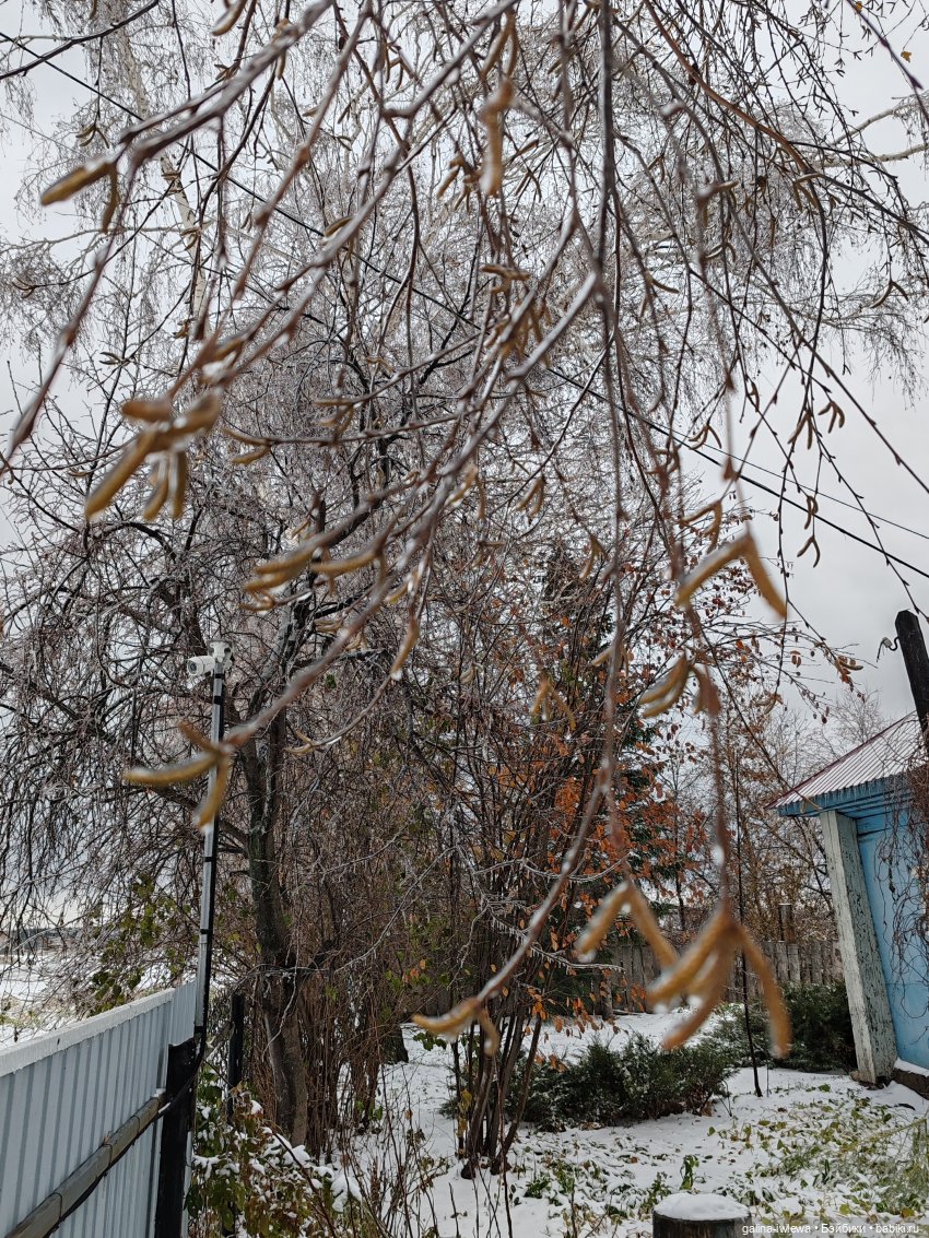 Сюрпризы октября — Красивая природа и цветы: фото пейзажей (фото 7)