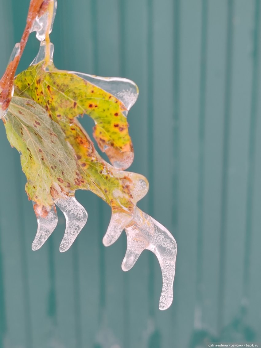 Сюрпризы октября — Красивая природа и цветы: фото пейзажей (фото 3)