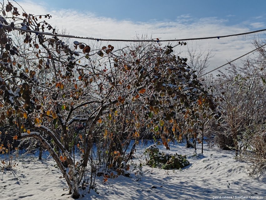 Сюрпризы октября — Красивая природа и цветы: фото пейзажей