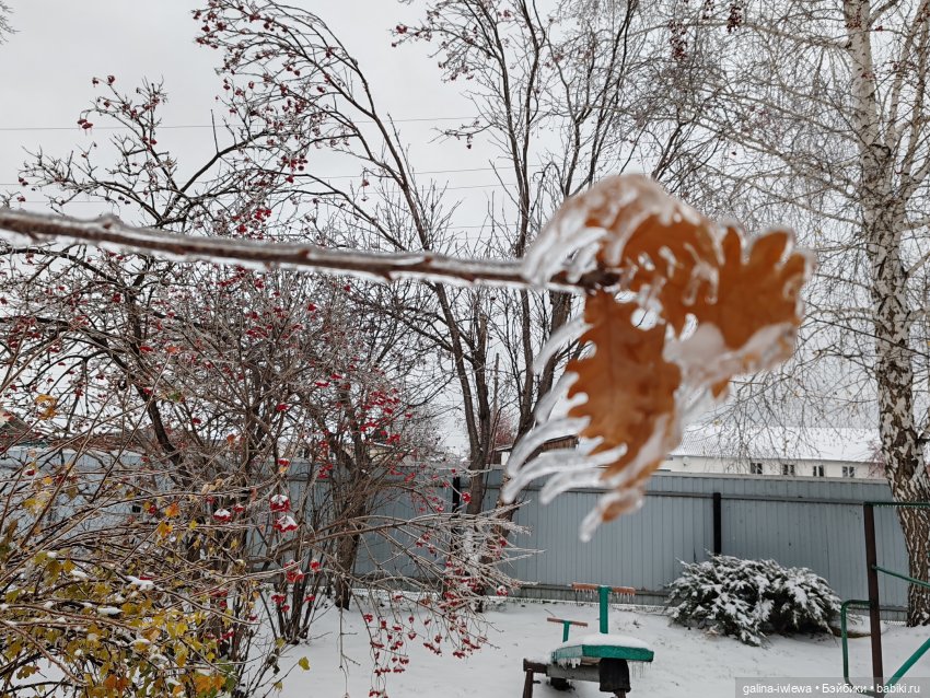 Сюрпризы октября — Красивая природа и цветы: фото пейзажей (фото 10)