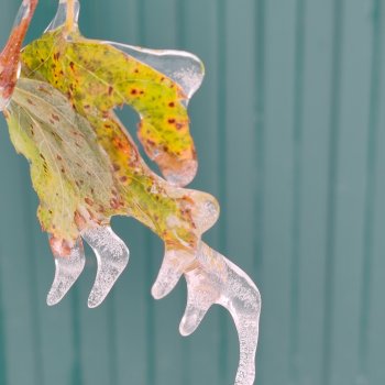 Сюрпризы октября