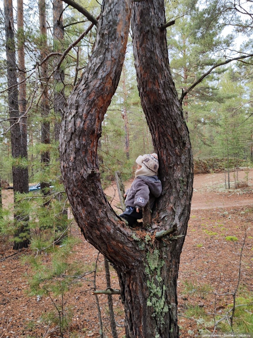 Тимурка в лесу — Куклы Реборн (Reborn): домашние фото