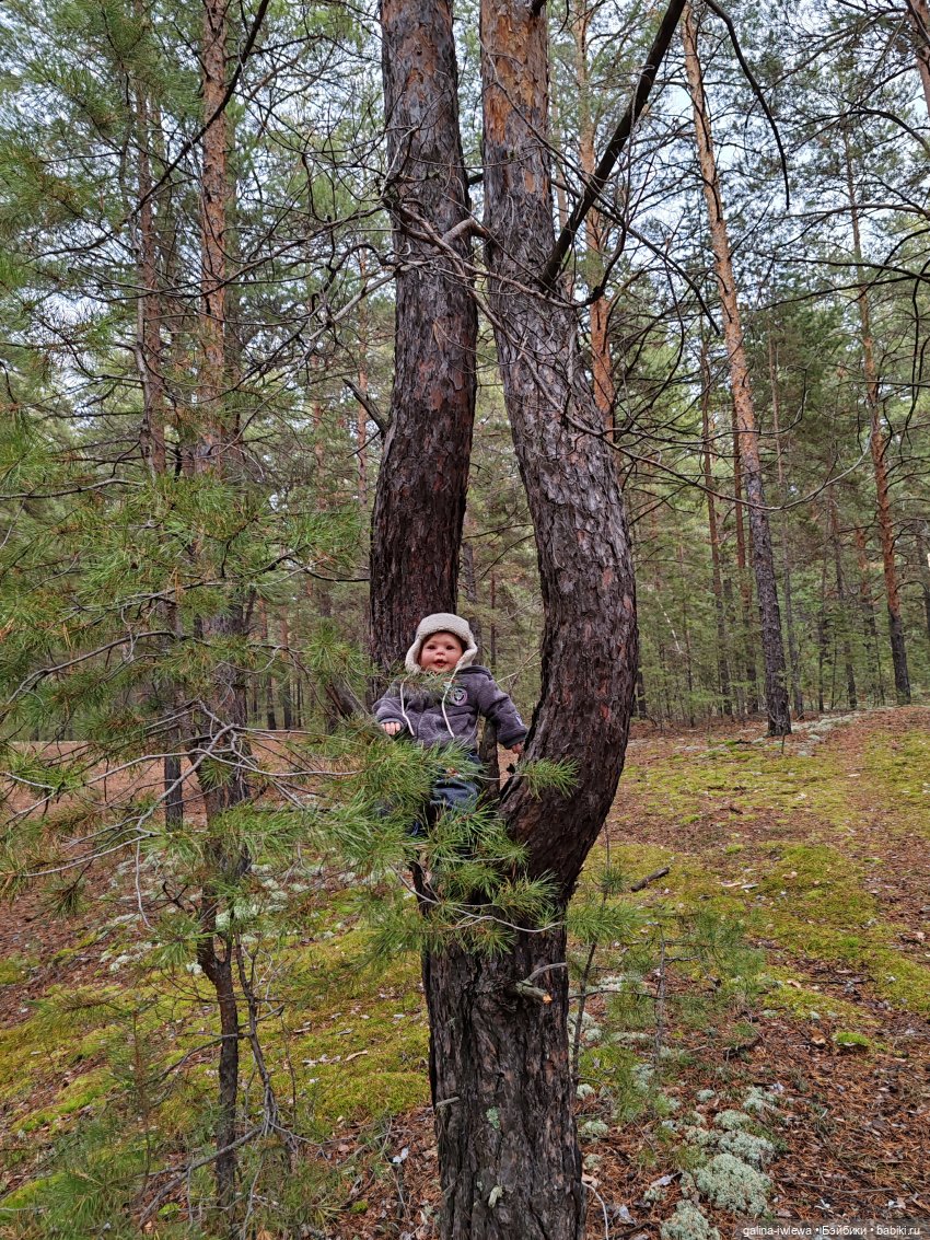 Тимурка в лесу — Куклы Реборн (Reborn): домашние фото