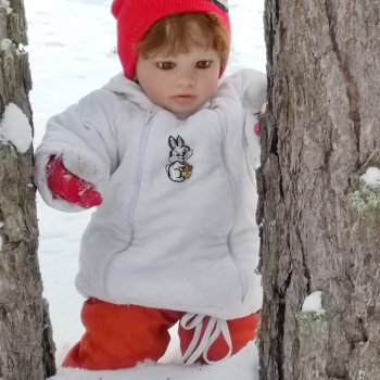 Дина в февральском лесу.