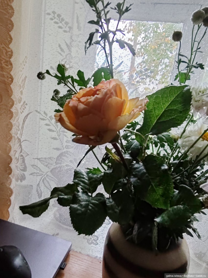 Чуть - чуть погуляли.Осень