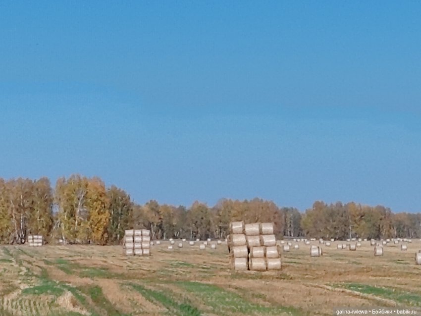 Последний теплый денек — Куклы Реборн (Reborn): домашние фото