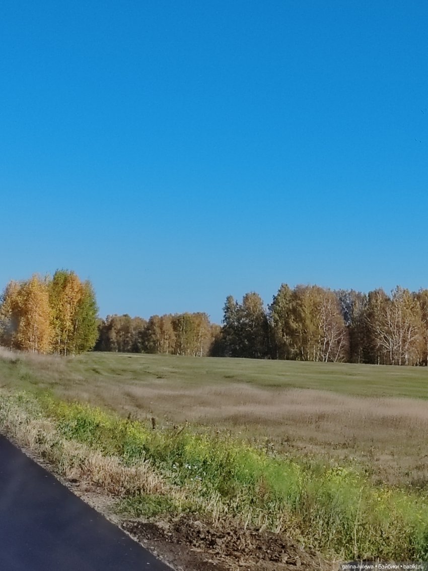 Последний теплый денек — Куклы Реборн (Reborn): домашние фото