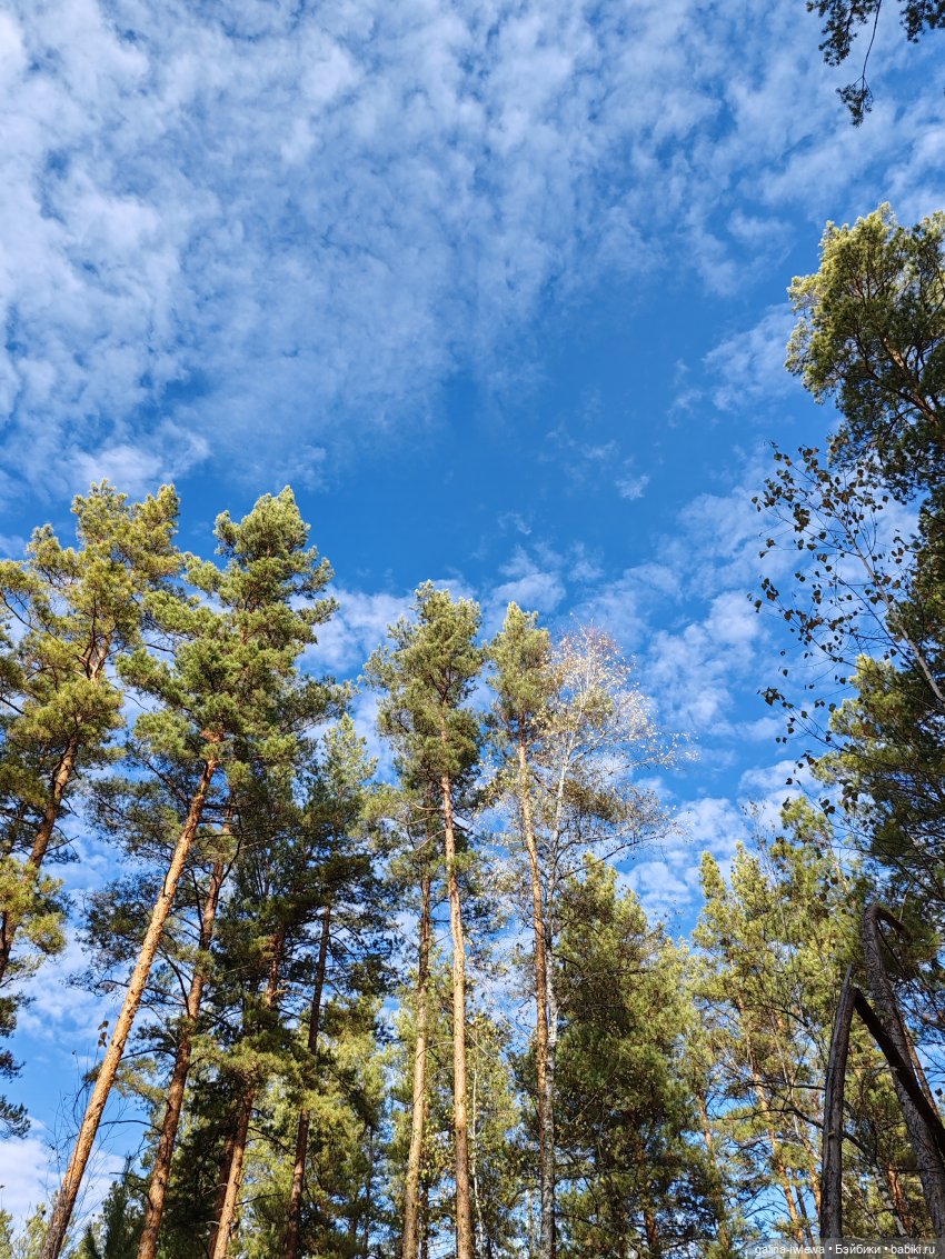 Осенняя прогулка Василя — Куклы Реборн (Reborn): домашние фото (фото 8)