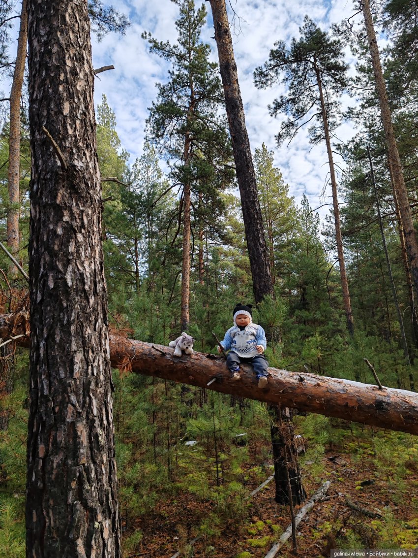 Осенняя прогулка Василя — Куклы Реборн (Reborn): домашние фото