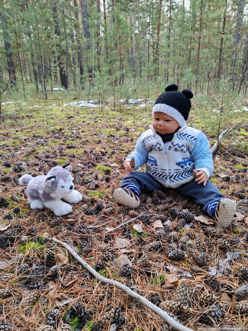 Осенняя прогулка Василя — Куклы Реборн (Reborn): домашние фото (фото 9)