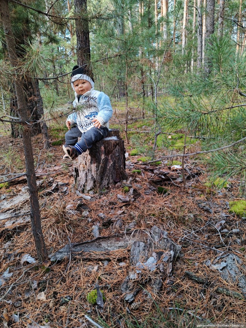 Осенняя прогулка Василя — Куклы Реборн (Reborn): домашние фото