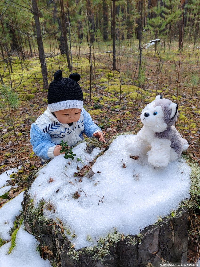 Осенняя прогулка Василя — Куклы Реборн (Reborn): домашние фото