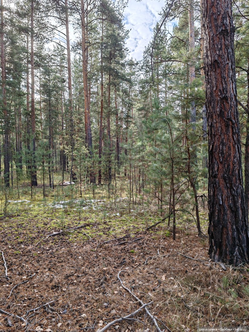Осенняя прогулка Василя — Куклы Реборн (Reborn): домашние фото (фото 7)