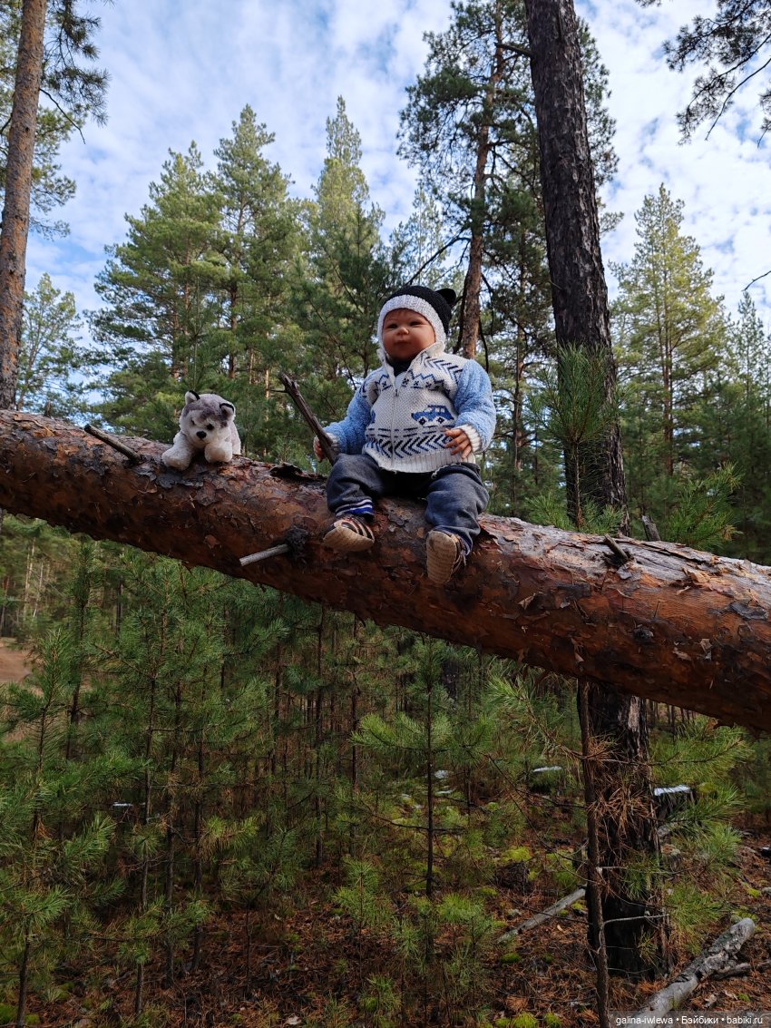 Осенняя прогулка Василя — Куклы Реборн (Reborn): домашние фото