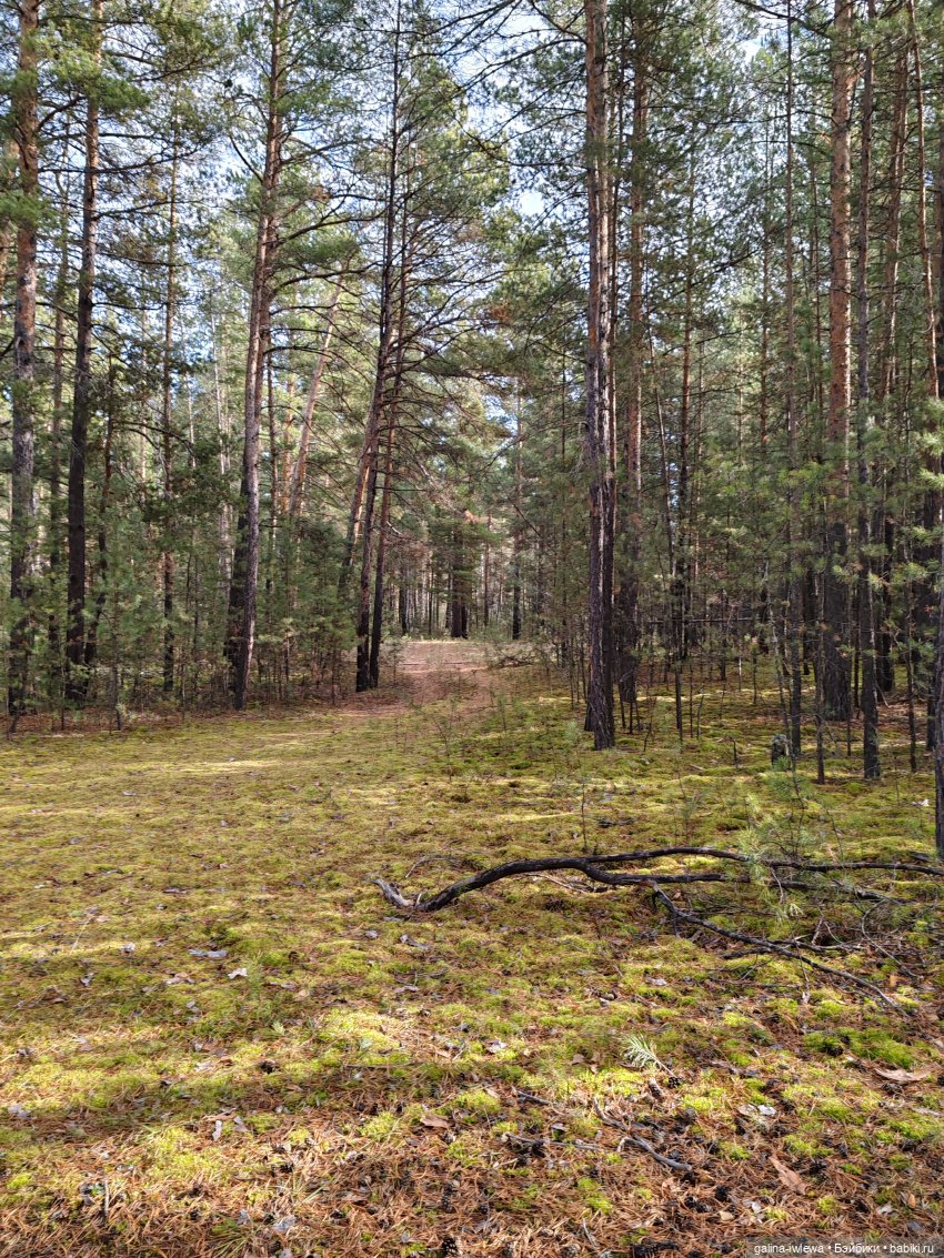 Осенняя прогулка Василя — Куклы Реборн (Reborn): домашние фото