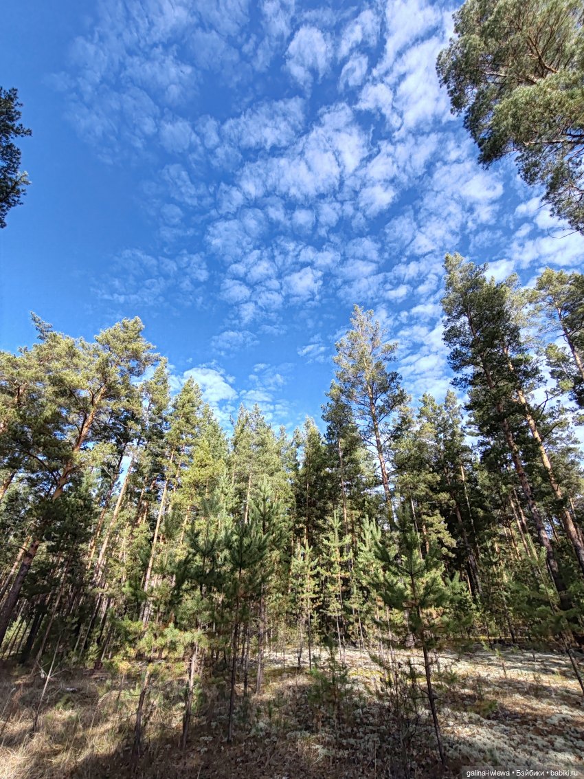 Осенняя прогулка Василя — Куклы Реборн (Reborn): домашние фото