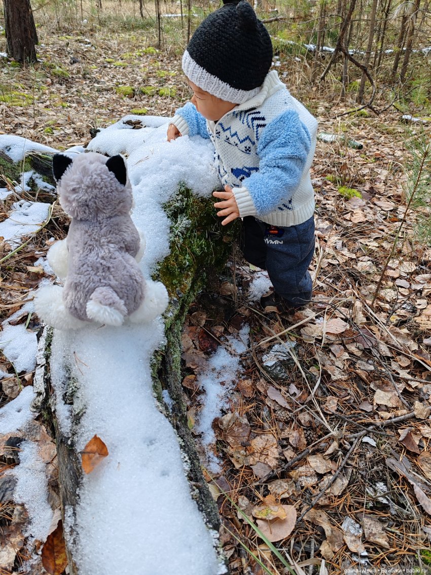Осенняя прогулка Василя — Куклы Реборн (Reborn): домашние фото (фото 3)