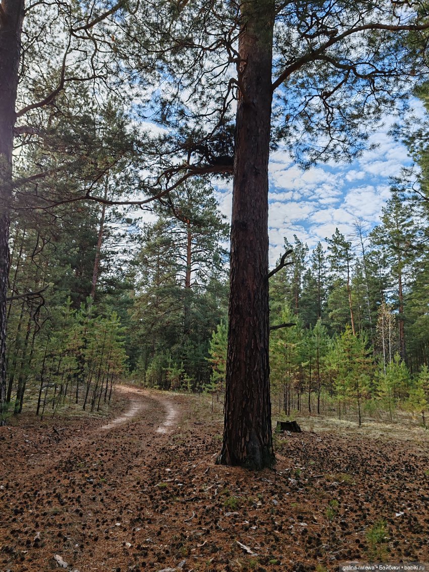 Осенняя прогулка Василя — Куклы Реборн (Reborn): домашние фото