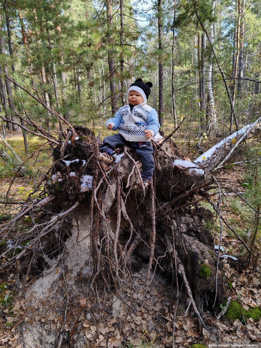 Осенняя прогулка Василя — Куклы Реборн (Reborn): домашние фото