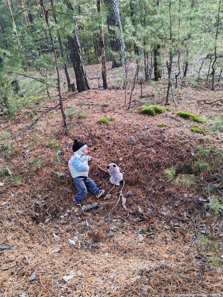 Осенняя прогулка Василя — Куклы Реборн (Reborn): домашние фото