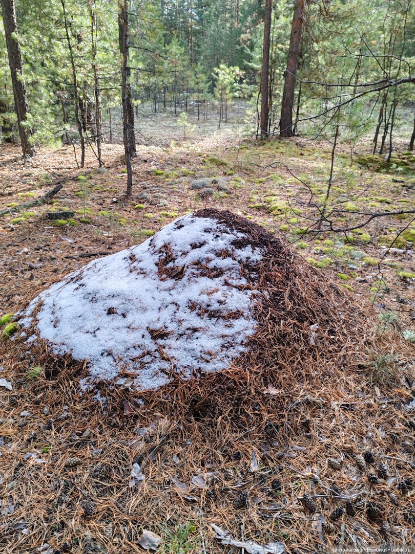 Осенняя прогулка Василя — Куклы Реборн (Reborn): домашние фото