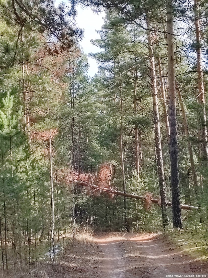 Осенняя прогулка Василя — Куклы Реборн (Reborn): домашние фото