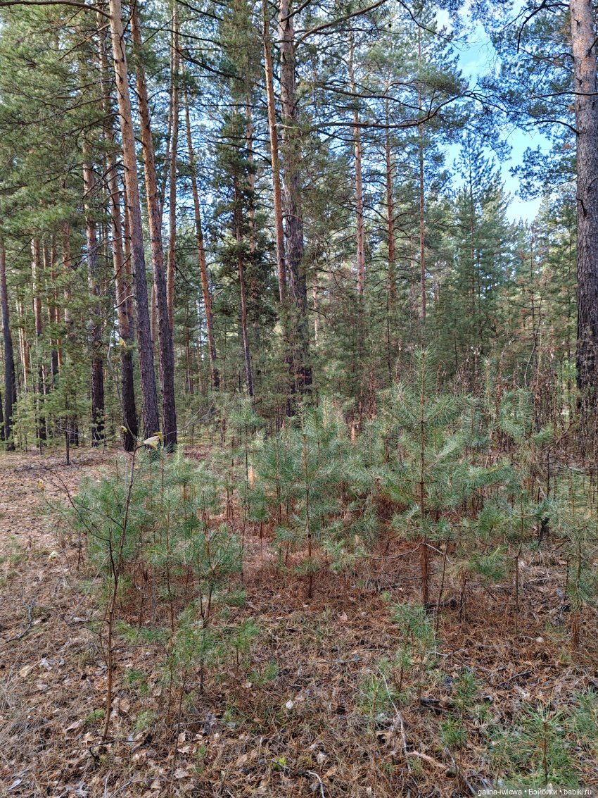 Осенняя прогулка Василя — Куклы Реборн (Reborn): домашние фото
